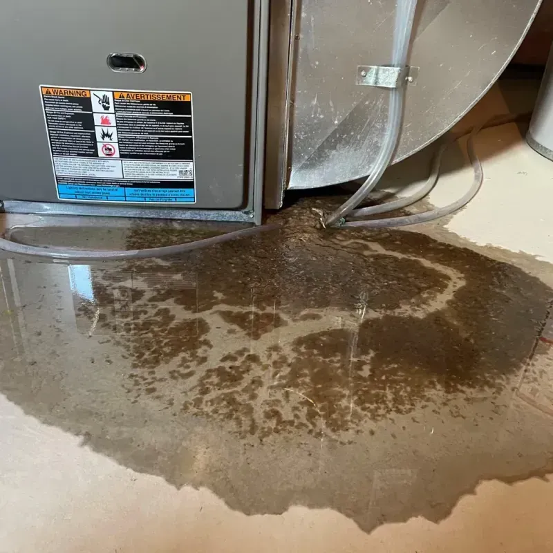 Appliance Leak Cleanup in Tiburon, CA